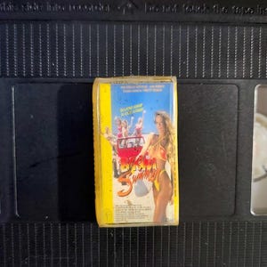 BIKINI SUMMER (1991)