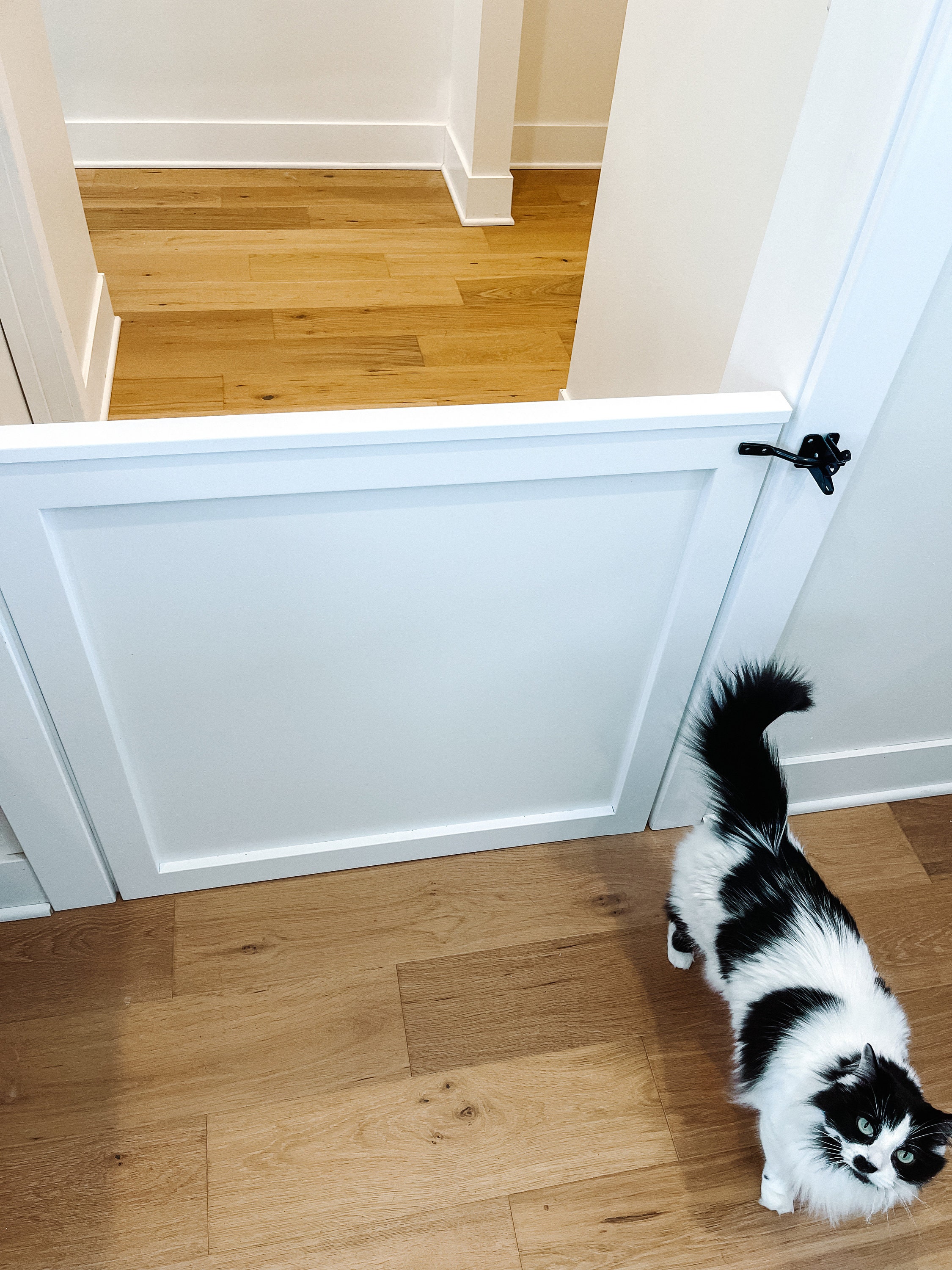 Diy half door clearance gate