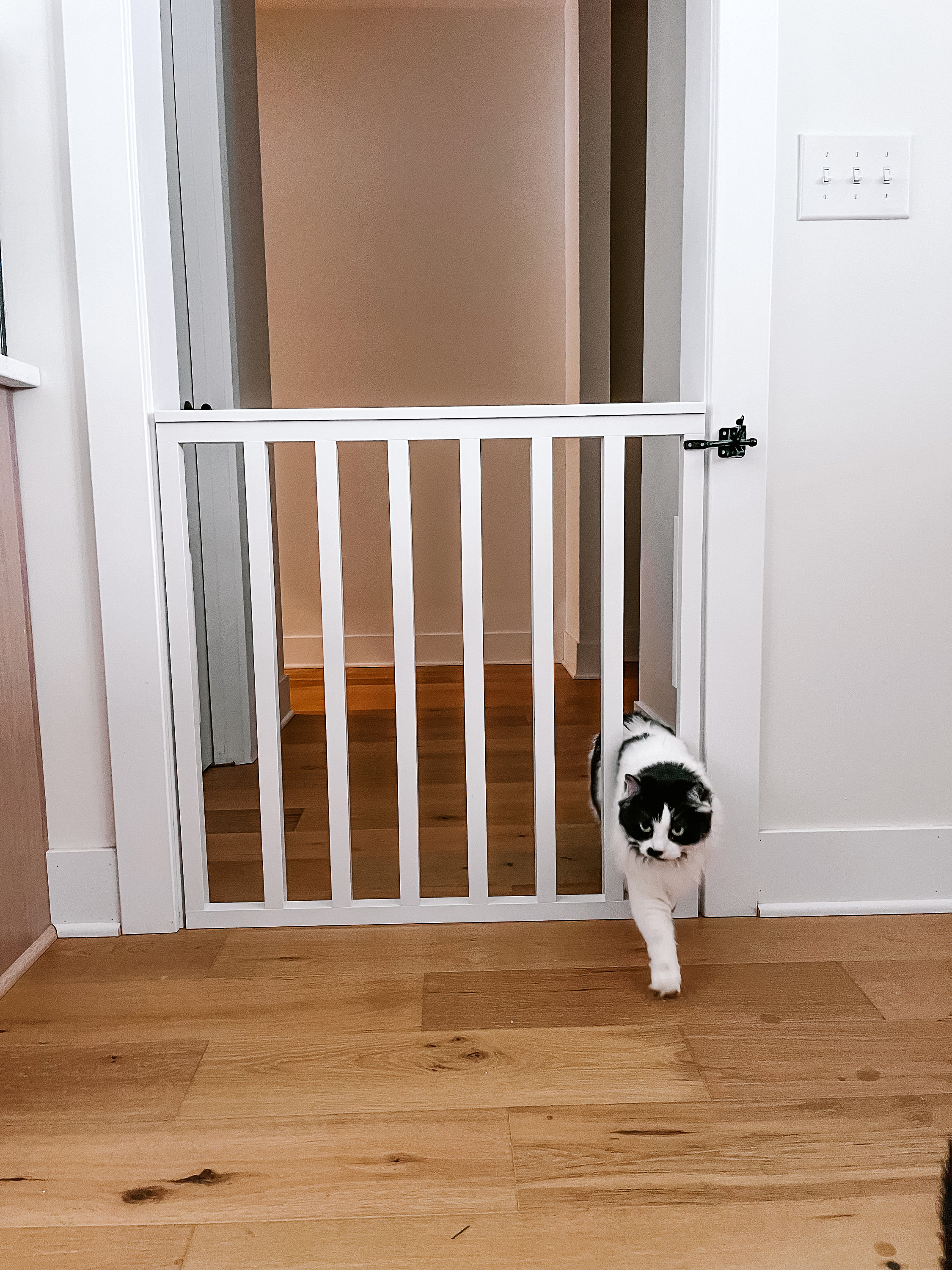 Child gate with dog deals door