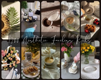 1300+ Premium Faceless Videos MRR | Instagram Reels Bundle | DFY Aesthetic Content & Story Templates