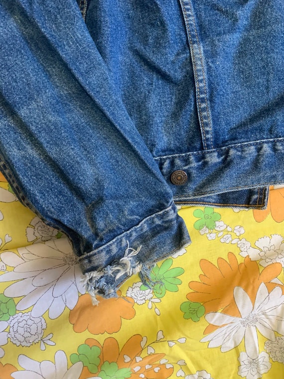 Levi Strauss Denim Jacket - image 4
