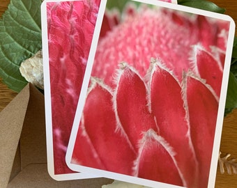 Pink Protea Photo Note Cards, Set of 2