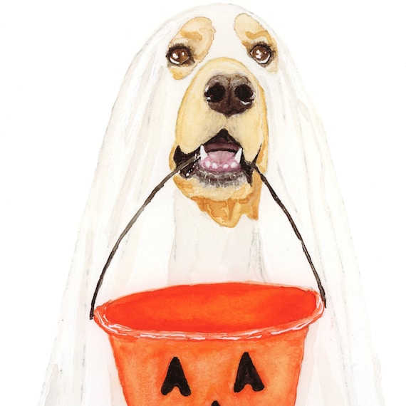 green emerald velvet dress Golden Retriever Ghost  Home Creations Milling & Signage