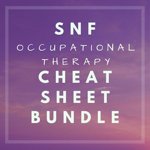 Pflegeeinrichtung OT Spickzettel Bundle - Bewertungen - Vorlage - Fortschrittsnotizen - Entlassungszusammenfassung - Feldarbeit ll - Tägliche Notizen