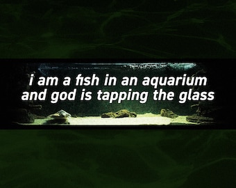 God Is Tapping The Glass Bumper Sticker