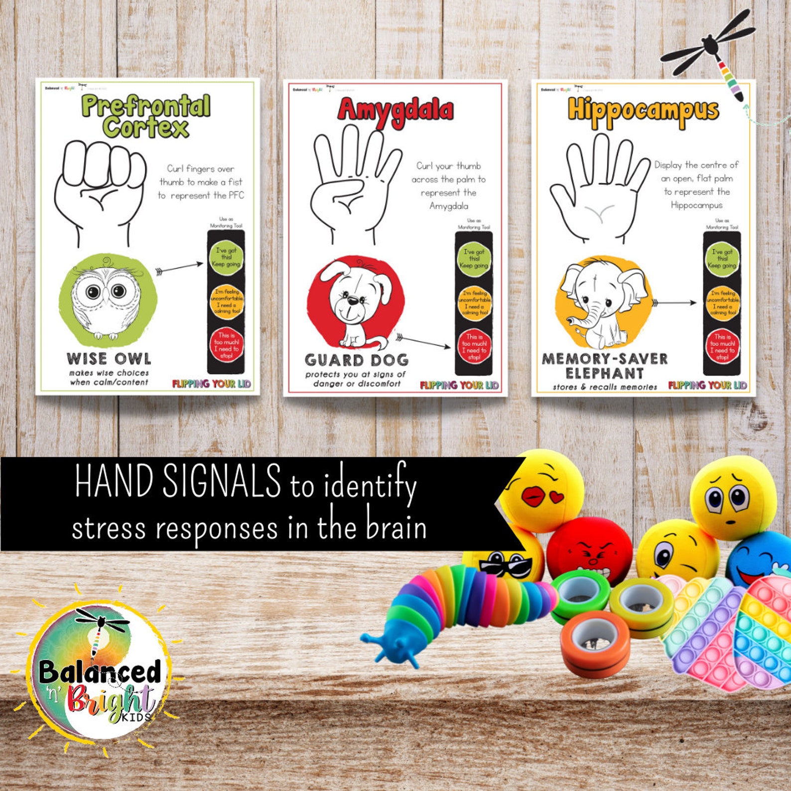 Flipping Your Lid Stress Response Classroom Management, Kids, Self