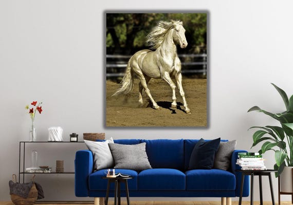 The Akhal-teke Also Called 