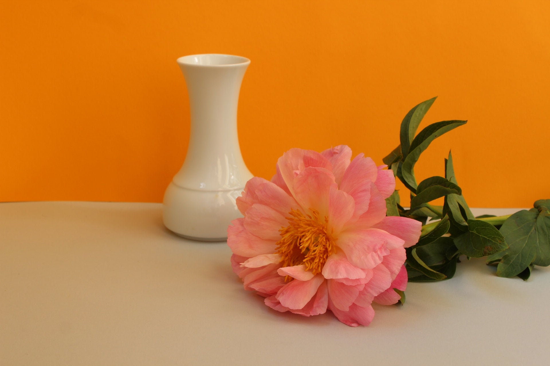 12 cm high marketed White matt glazed porcelain vase Thomas Rotunda