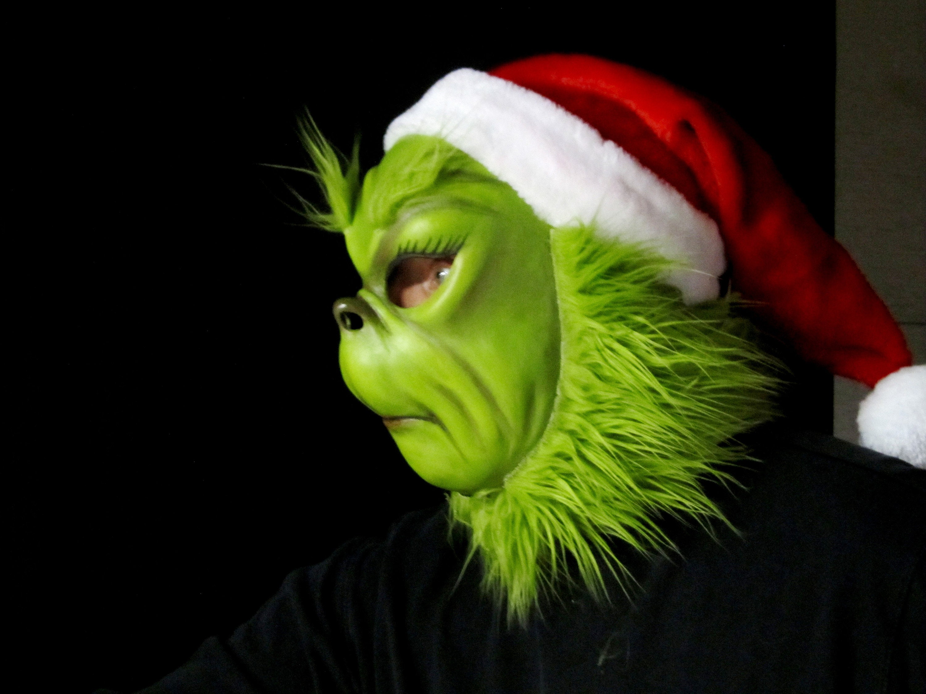 Dr. Seuss The Grinch Kid's Costume Mask