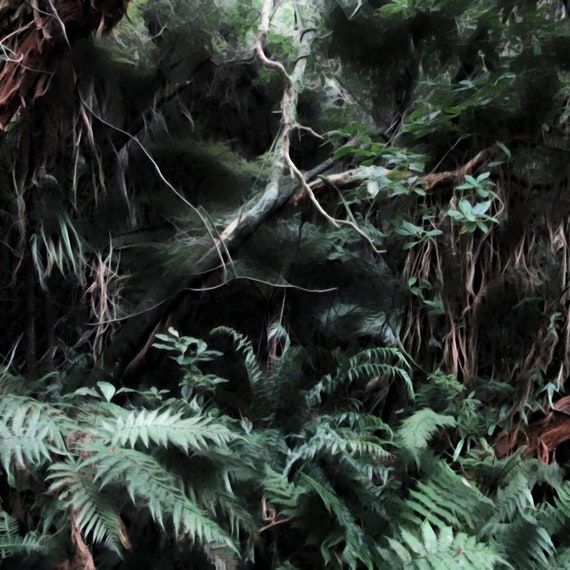 Spirit Forest Printable Wall Art Digital Painting Desktop Etsy