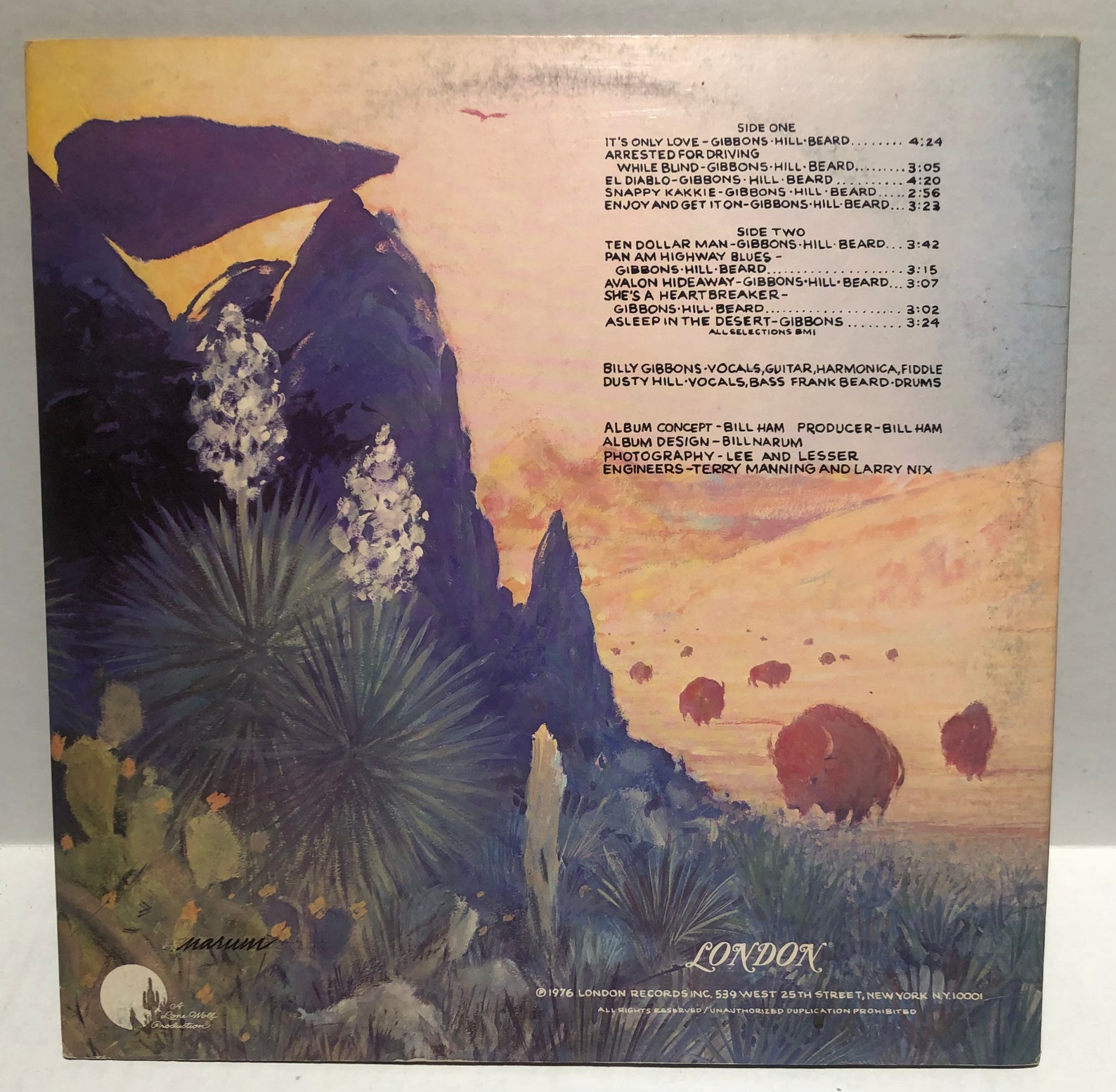 ZZ Top tejas Vinyl Record Etsy