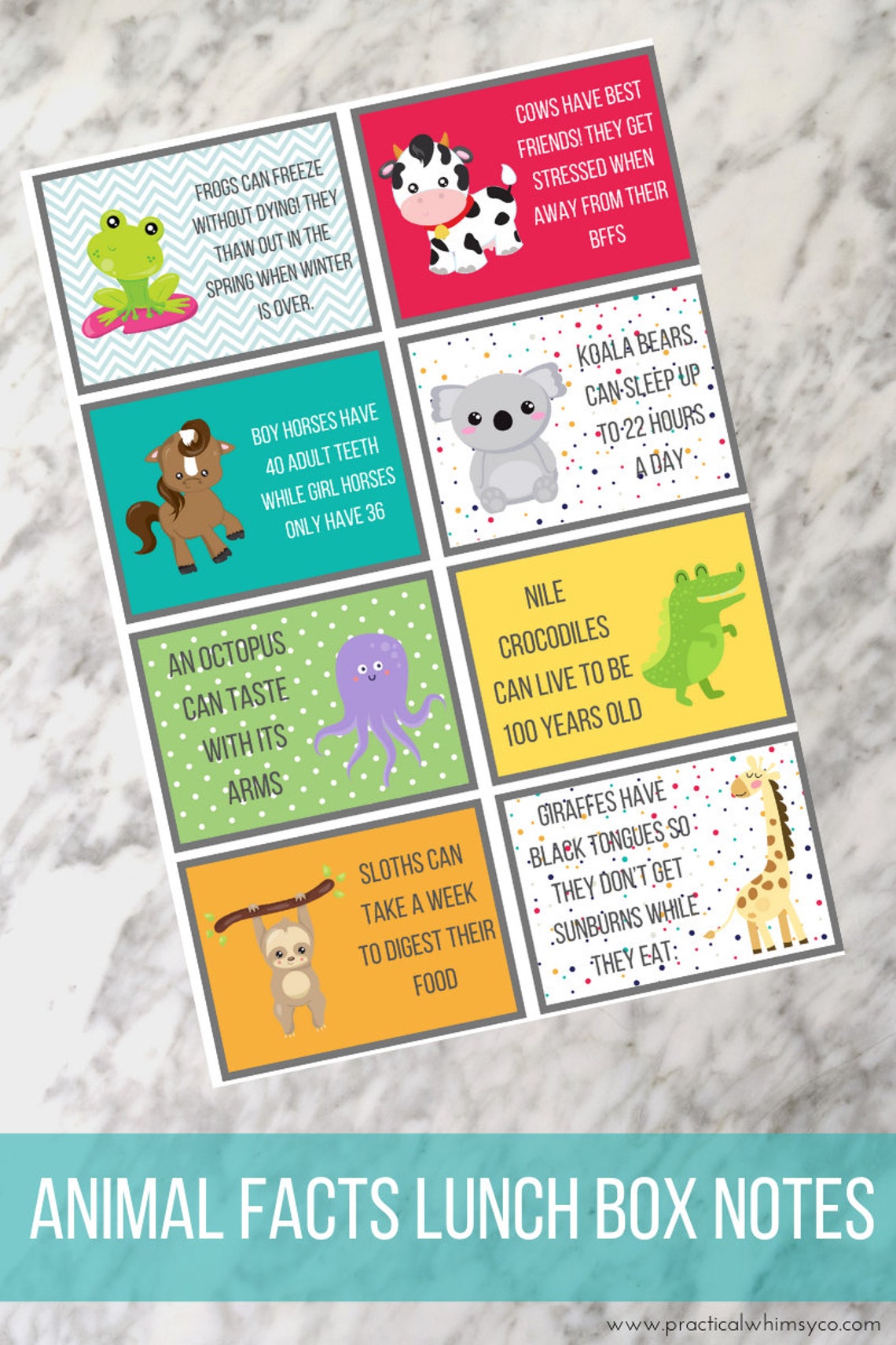 Animal Lunchbox Notes for Kids Back to School Zoo Animals Etsy