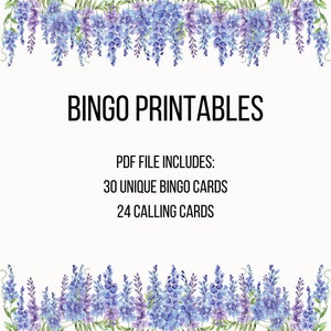 Cinco de Mayo BINGO Cards, Printable Mexican Party Games Digital Download, Fiesta Instant Download, Taco Tuesday, Bachelorette Party image 2