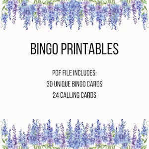 Fairycore BINGO Cards, Fairy First Birthday, Printable Fairies Birthday Party Game, Fairy Garden Digital Download, Instant Download image 2