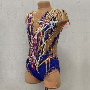 v Rg leotard, Leotard for rhythmic gymnastics, acrobatics, skating 114