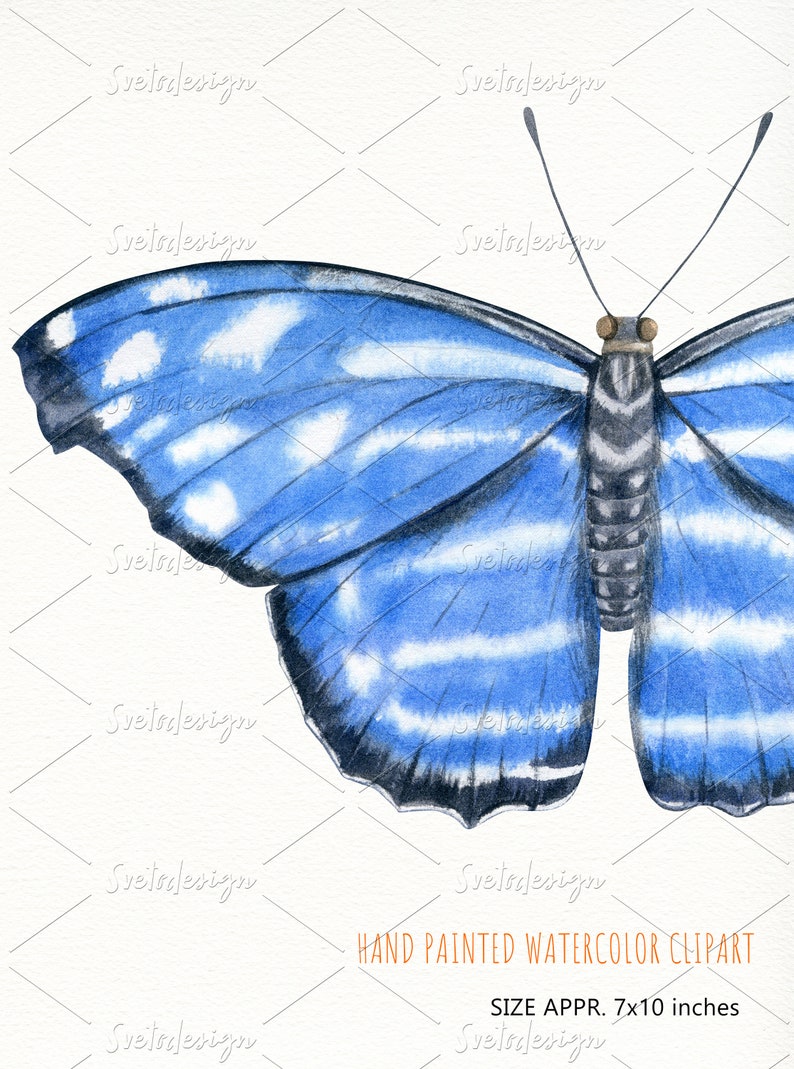 scrapbooking PNG Individual vintage style butterfly clip art for wall art Watercolor hand drawn tropical butterflies clipart wall print
