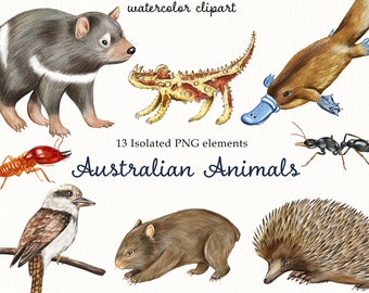 Watercolor Australian Animals Clipart. Hand Painted Animal Set. Commercial clip art PNG. Hand Painted Digital Clipart.