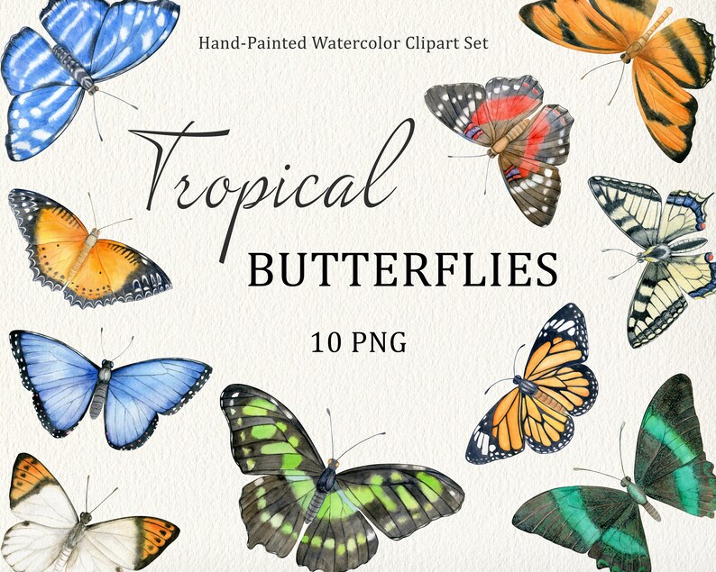 scrapbooking PNG Individual vintage style butterfly clip art for wall art Watercolor hand drawn tropical butterflies clipart wall print