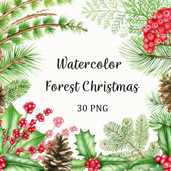 Christmas watercolor clipart. Winter woodland hand painted graphics. Xmas forest pine cones, holly berries, green branches clip art PNG 30