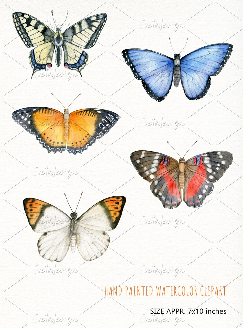scrapbooking PNG Individual vintage style butterfly clip art for wall art Watercolor hand drawn tropical butterflies clipart wall print