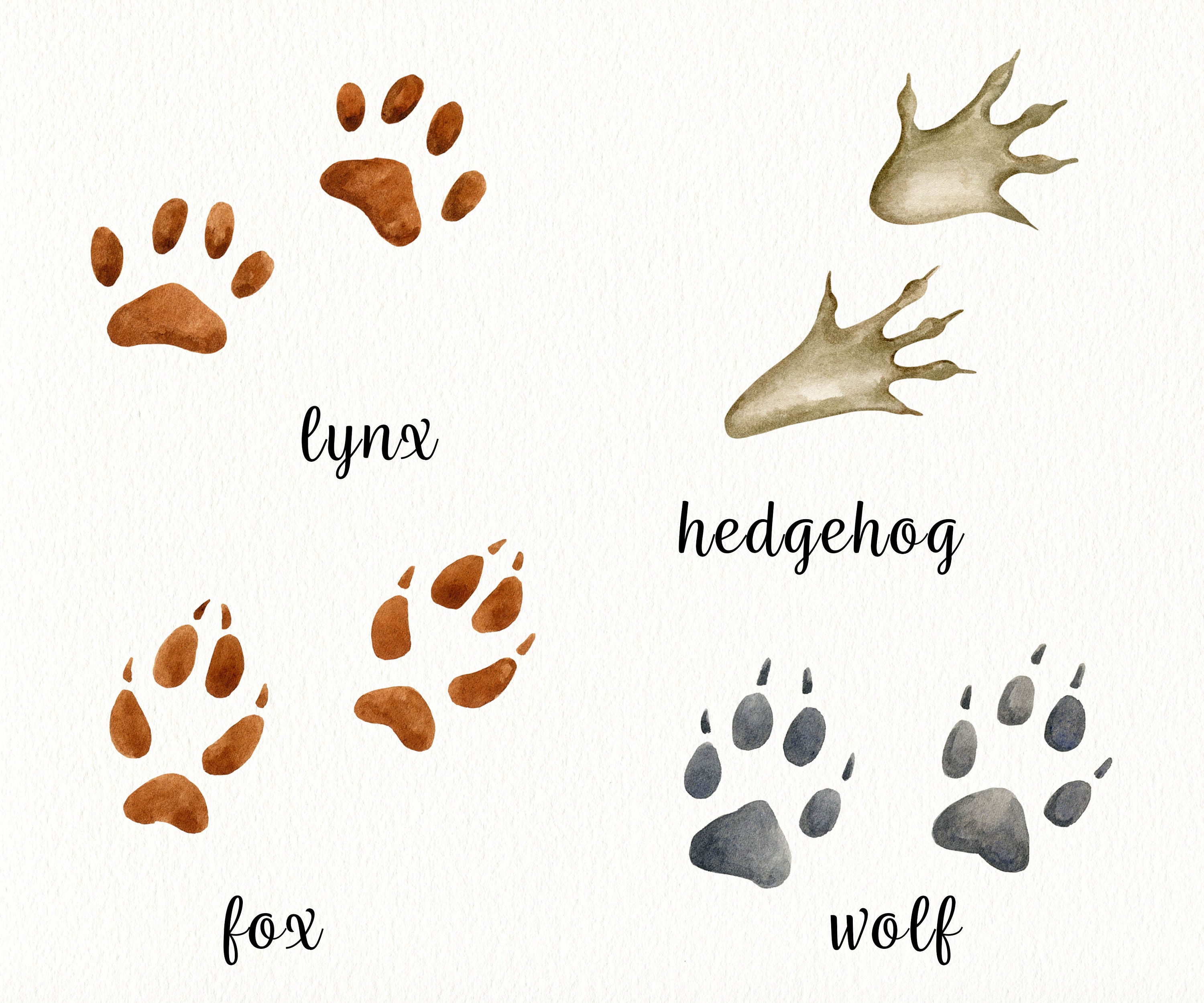 Watercolor Animal Tracks Clipart. Wild Animals Footsteps, Forest