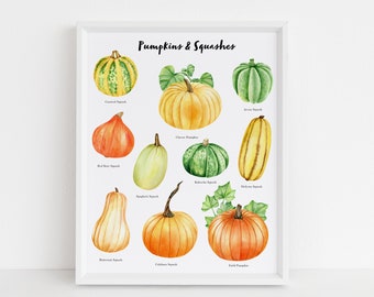 Watercolor Pumpkins Illustration, Squashes Poster, Nature, Educational Poster, Kitchen, Cooking, Printable Wall Art, Montessori Poster