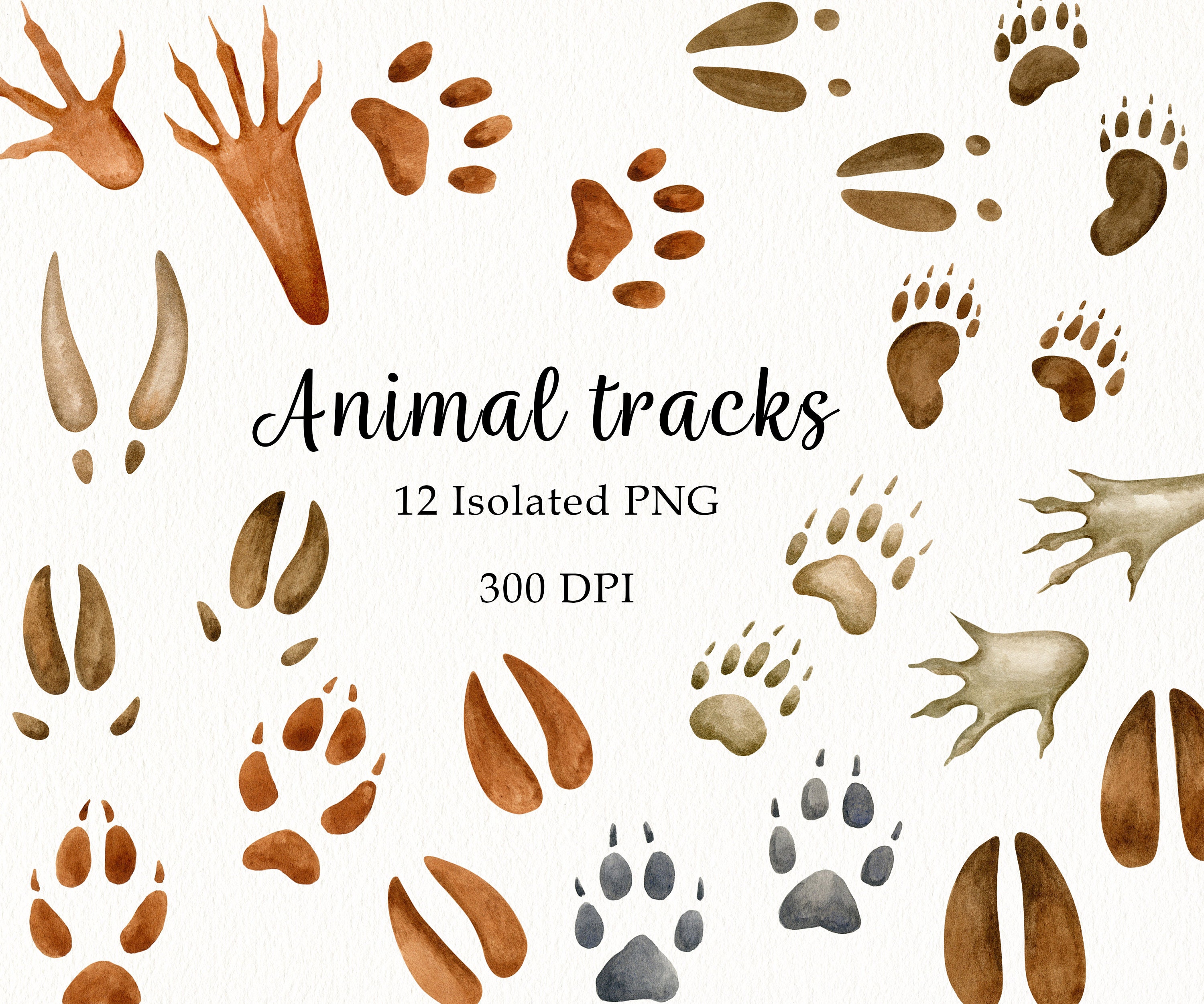 Animal Track Cards - Etsy Animal Track Cards - Etsy