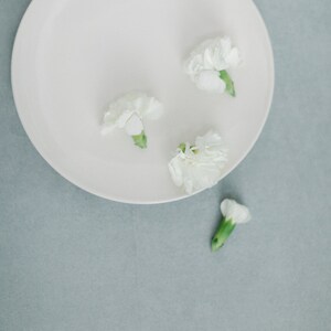 May include: Four white carnations with green stems on a white plate. The plate is on a light blue surface.