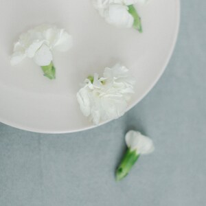 May include: Four white carnations with green stems on a white plate. The plate is on a light blue surface.