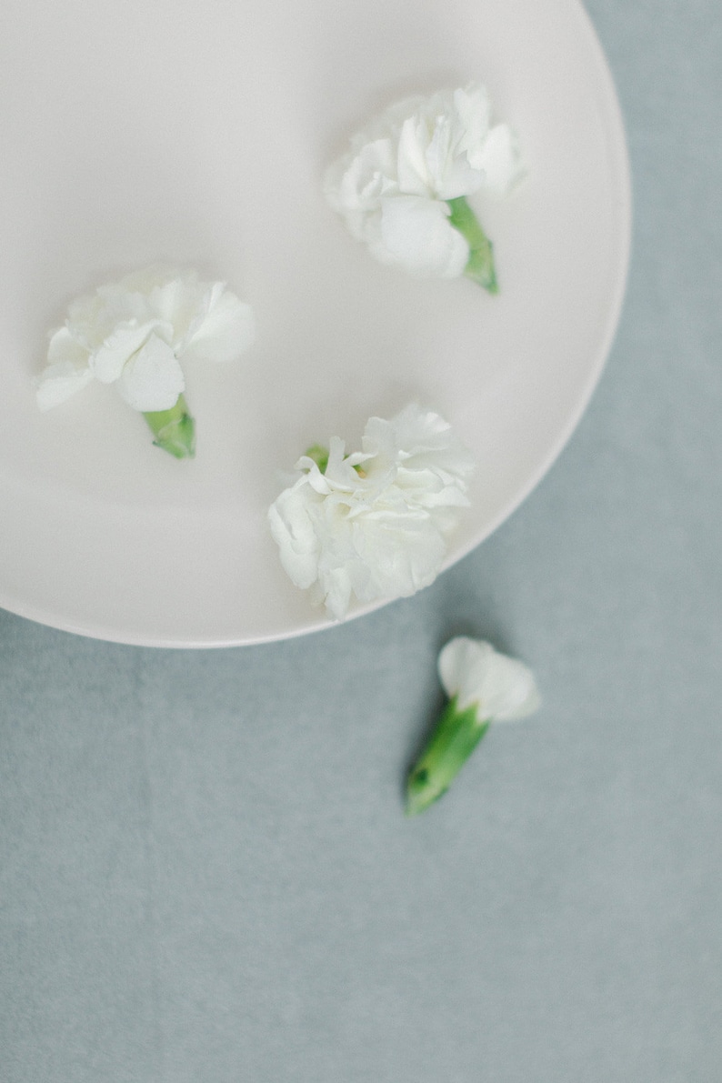 May include: Four white carnations with green stems on a white plate. The plate is on a light blue surface.