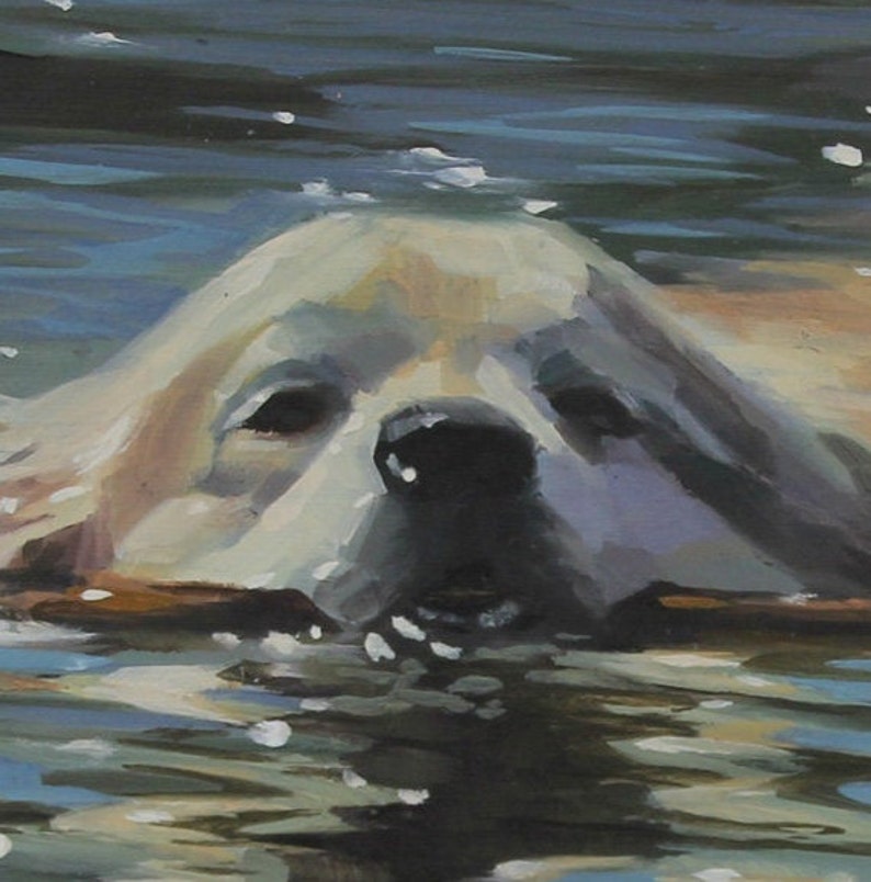 Let me paint a portait for you of your pet in professional quality oils and framed in a contemporary modern frame