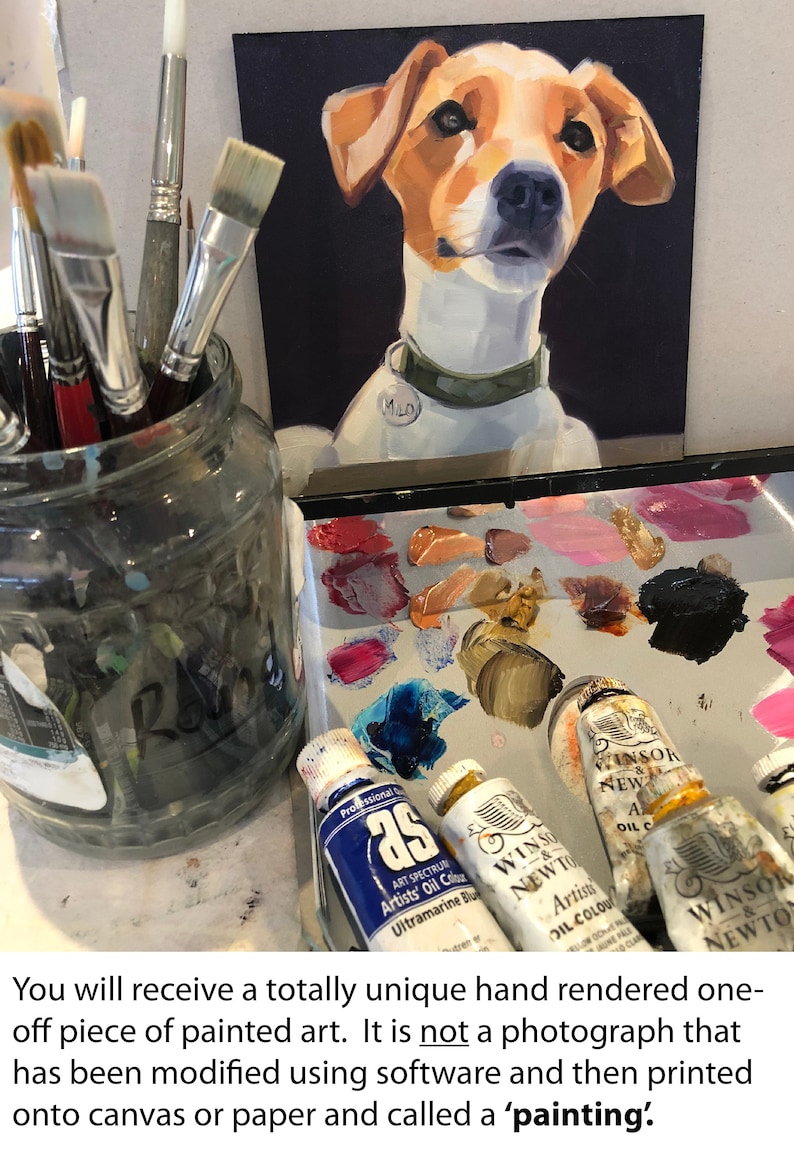 Let me paint a portait for you of your pet in professional quality oils and framed in a contemporary modern frame