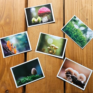 Ansichtkaarten natuurfoto's