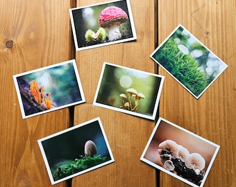 Postcards nature photos