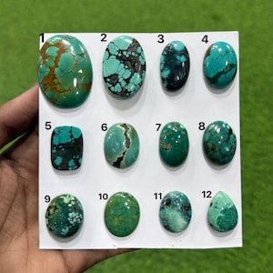 May include: A collection of twelve polished turquoise gemstones arranged on a white display card, numbered one through twelve. The stones vary in shape, including ovals and a teardrop, and feature diverse shades of blue and green with dark matrix patterns.