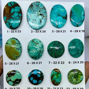 May include: Twelve polished turquoise cabochons arranged in a grid on a white display card. Each stone features unique matrix patterns in shades of blue, green, and brown. Labels indicate dimensions in millimeters, ranging from 19x19 to 33x23 mm.