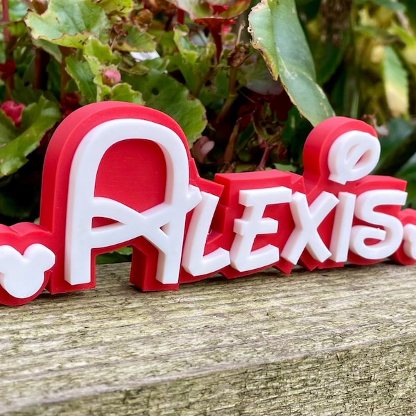 Perfect For Any Famous Mouse Fan, Bespoke 3D Name Plaque, Fast Free Shipping