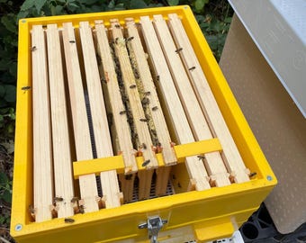 National - Langstroth Beehive Converter Bracket - 3 Frame Version