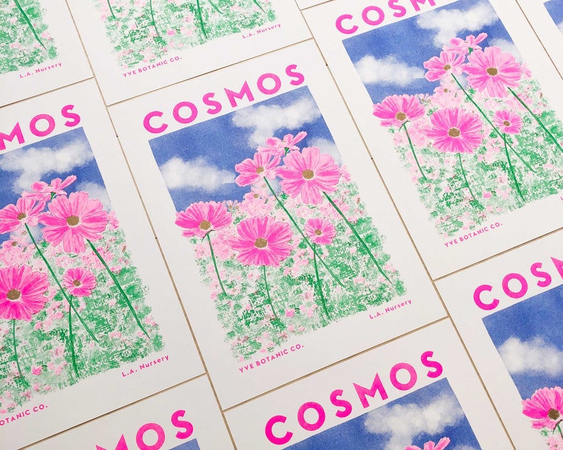 Cosmos Flower Illustration Print Risograph Print Floral Print Flower Poster Pink Wall Art Flower Prints Pink Wall Art image 3