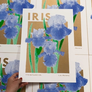 Iris Flower Illustration Print - Risograph Print - Iris Print - Flower Poster - Affiche Iris - Riso Print