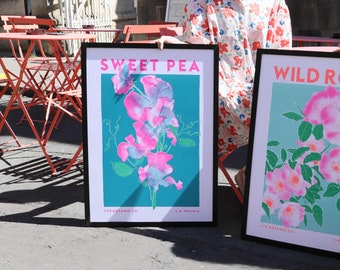 Sweet Pea Flower Illustration Print - Floral Print - Botanical Artwork - Large Sweet Pea Print - Pink Wall Art, 50 x 70 Poster