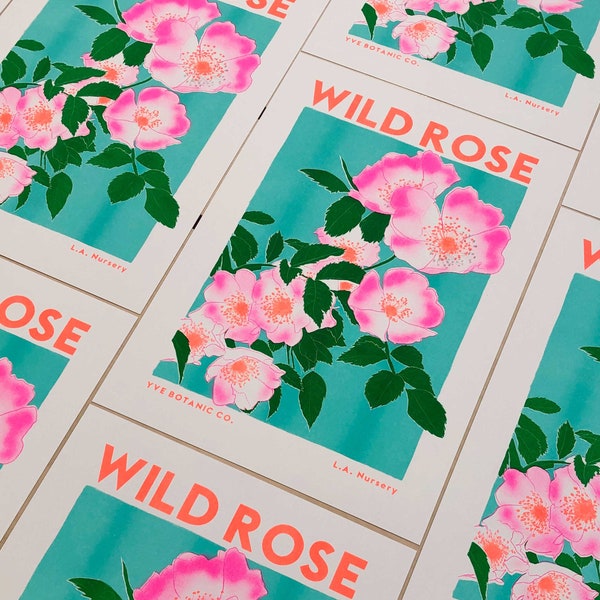 Wild Rose Flower Illustration Print - Risograph Print - Floral Print - Flower Poster - Pink Wall Art - Flower Prints - Botanical Artwork