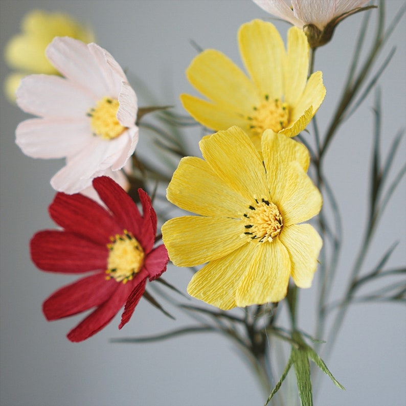 Digital Template Handmade Crepe Paper COSMOS Digital Template Etsy