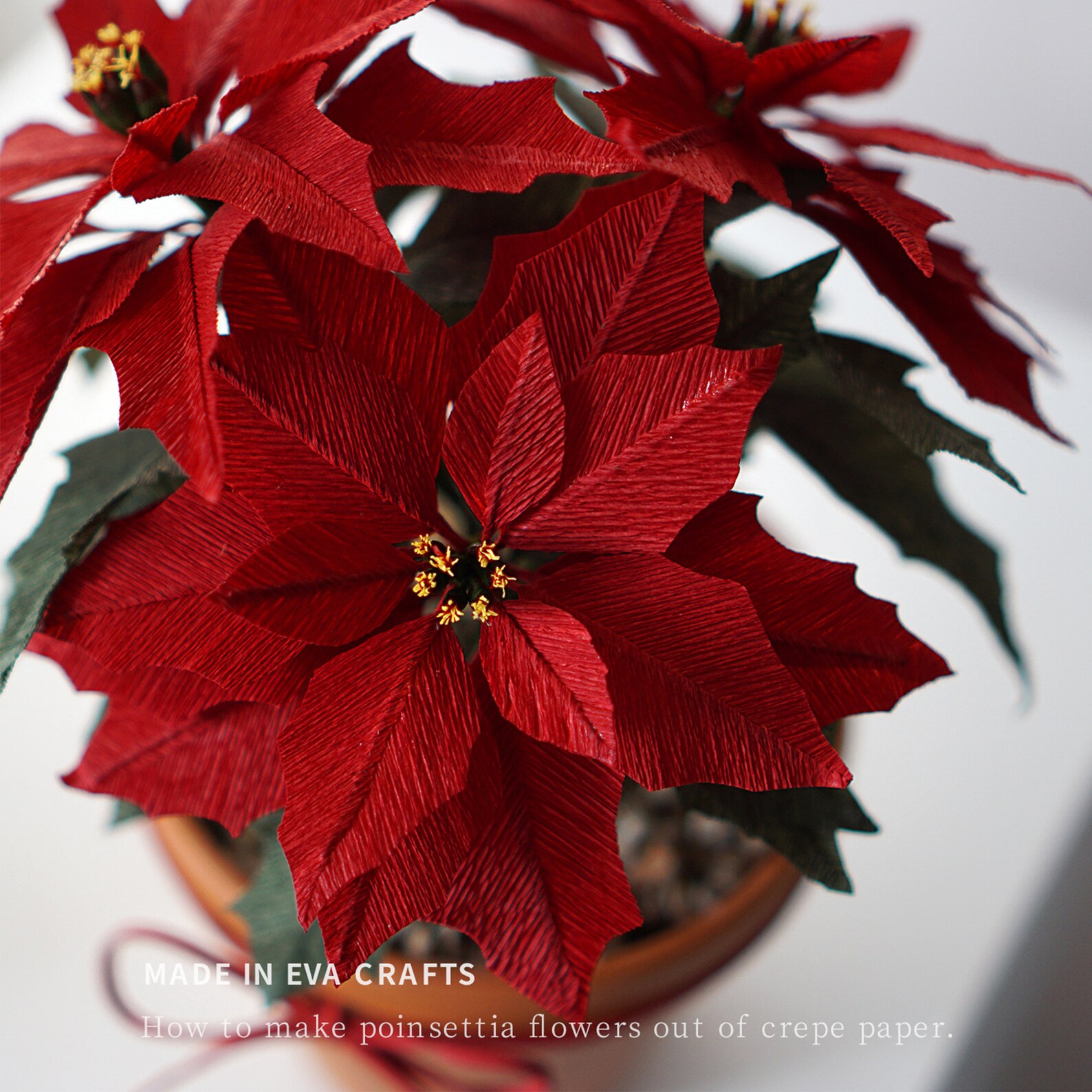 Paperflower Digital Template Crepe Paper Poinsettia Flower Etsy