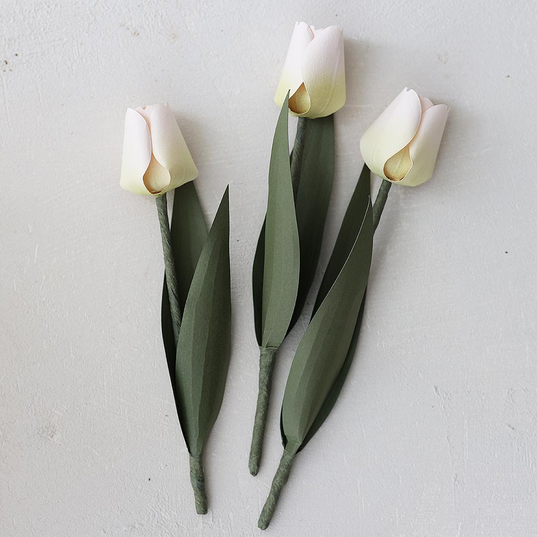DIY Paper Tulip Template  | Realistic Paper Flowers | SVG, Silhouette, PDF Templates