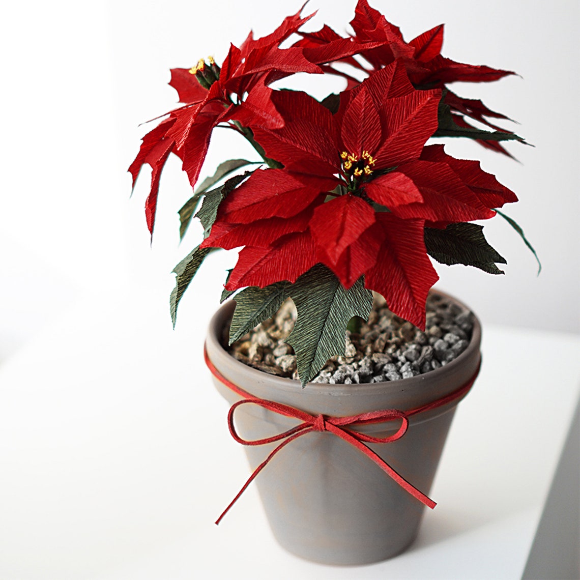 Paperflower Digital Template Crepe Paper Poinsettia Flower Etsy