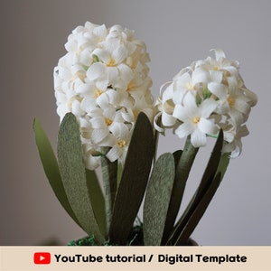 Digital Template- Handmade Crepe paper HYACINTH Digital Template with video tutorial