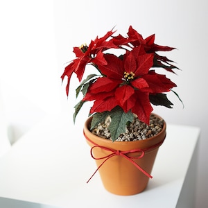 EVACRAFTS/Paperflower Digital Template] - Crepe paper Poinsettia Flower Digital Template with video tutorial