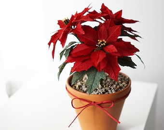 EVACRAFTS/Paperflower Digital Template] - Crepe paper Poinsettia Flower Digital Template with video tutorial