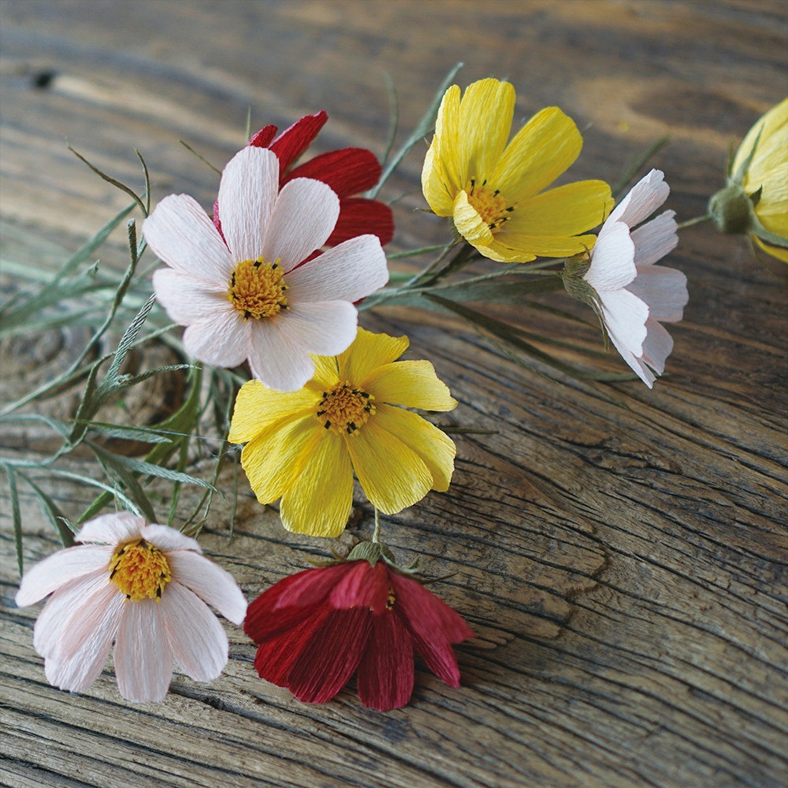 Digital Template Handmade Crepe Paper COSMOS Digital Template Etsy